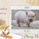 sinh-nam-1947-tuoi-gi