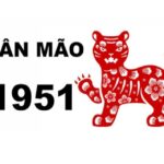 sinh-nam-1951-tuoi-gi