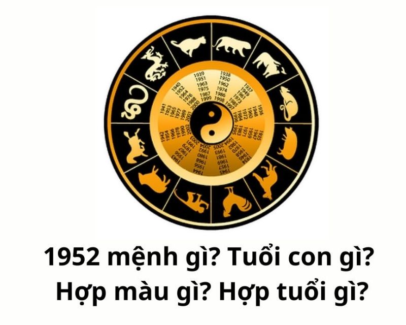 sinh-nam-1952-tuoi-gi-1