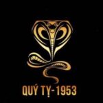 sinh-nam-1953-tuoi-gi