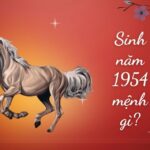 sinh-nam-1954-tuoi-gi