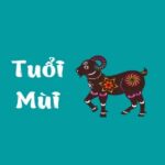 sinh-nam-1955-tuoi-gi