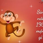 sinh-nam-1956-tuoi-gi
