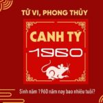 sinh-nam-1960-tuoi-gi