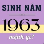 sinh-nam-1963-tuoi-gi
