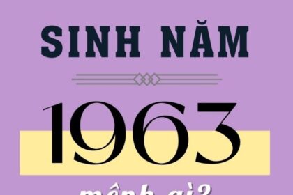 sinh-nam-1963-tuoi-gi