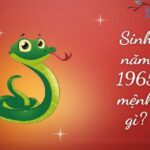 sinh-nam-1965-tuoi-gi