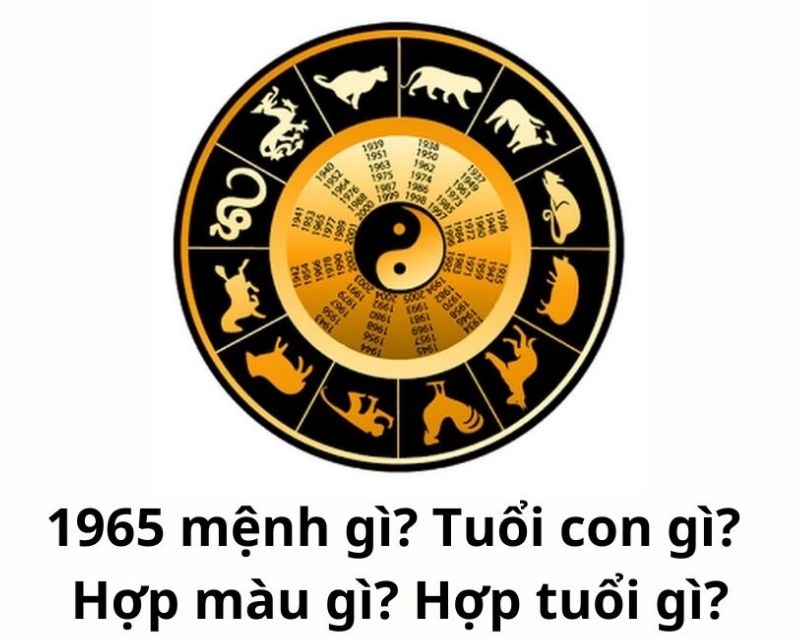 sinh-nam-1965-tuoi-gi-2