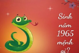 sinh-nam-1965-tuoi-gi