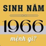 sinh-nam-1966-tuoi-gi