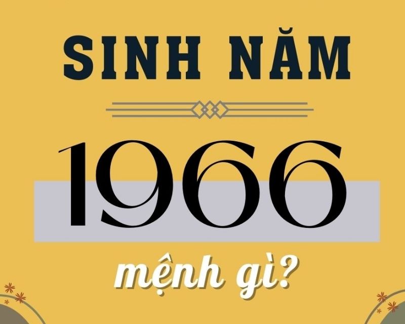 sinh-nam-1966-tuoi-gi