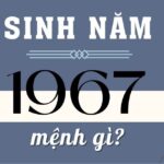 sinh-nam-1967-tuoi-gi
