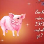 sinh-nam-1971-tuoi-gi