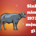 sinh-nam-1973-tuoi-gi