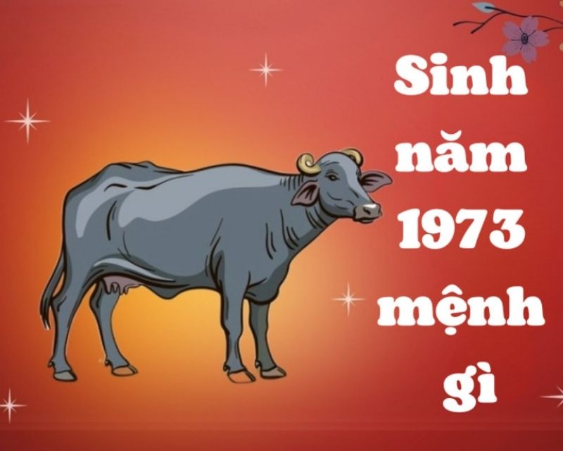 sinh-nam-1973-tuoi-gi