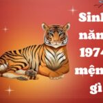 sinh-nam-1974-tuoi-gi