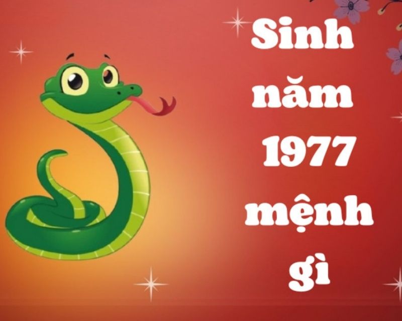 sinh-nam-1977-tuoi-gi