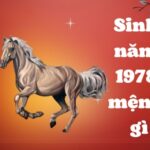 sinh-nam-1978-tuoi-gi