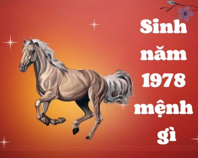 sinh-nam-1978-tuoi-gi