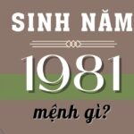 sinh-nam-1981-tuoi-gi