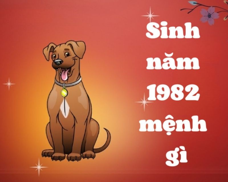 sinh-nam-1982-tuoi-gi-1