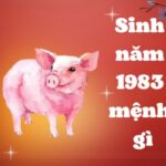 sinh-nam-1983-tuoi-gi