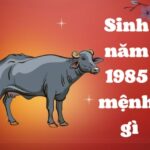 sinh-nam-1985-tuoi-gi