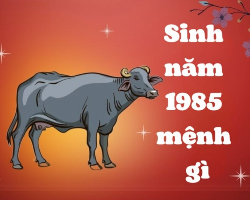 sinh-nam-1985-tuoi-gi