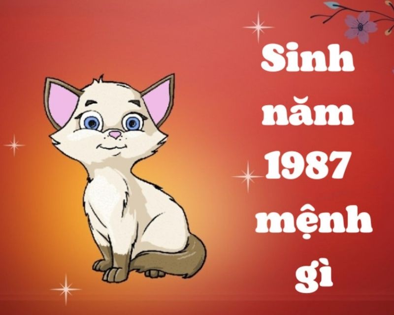 sinh-nam-1987-tuoi-gi-1