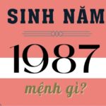 sinh-nam-1987-tuoi-gi