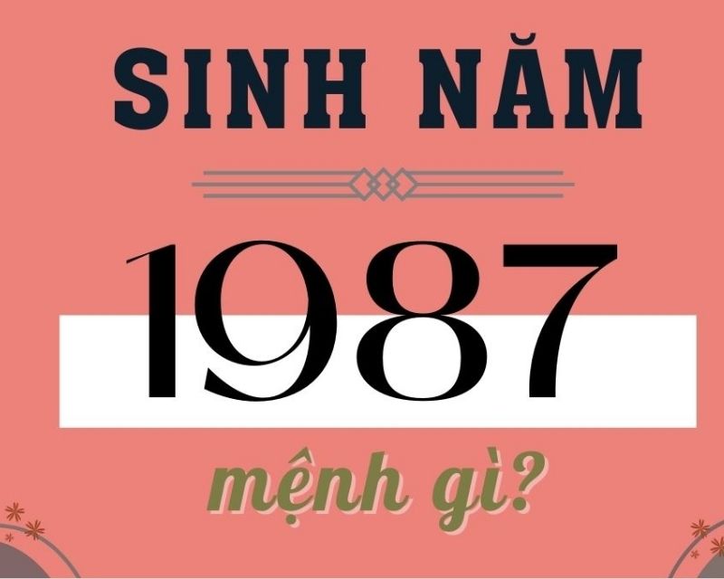 sinh-nam-1987-tuoi-gi