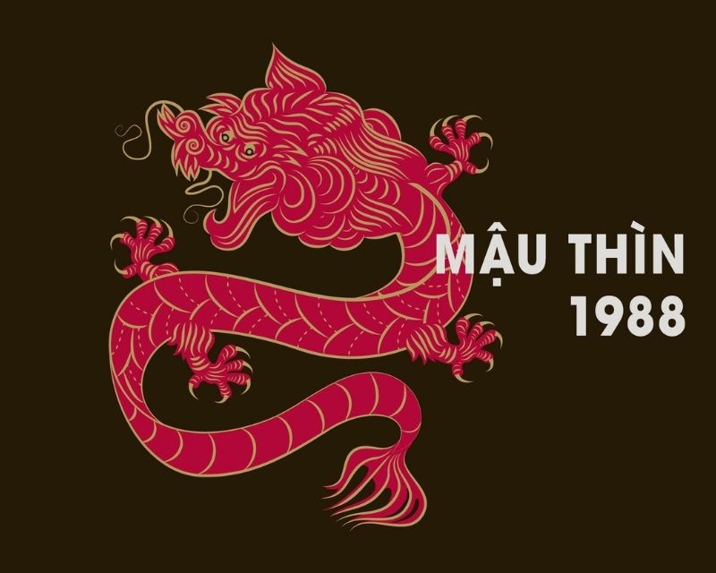 sinh-nam-1988-tuoi-gi