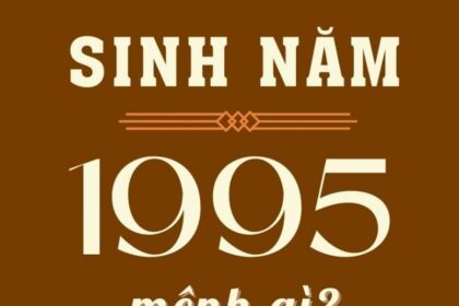 sinh-nam-1995-tuoi-gi