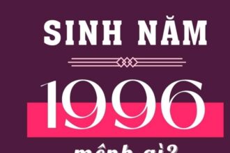 sinh-nam-1996-tuoi-gi