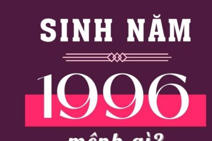 sinh-nam-1996-tuoi-gi