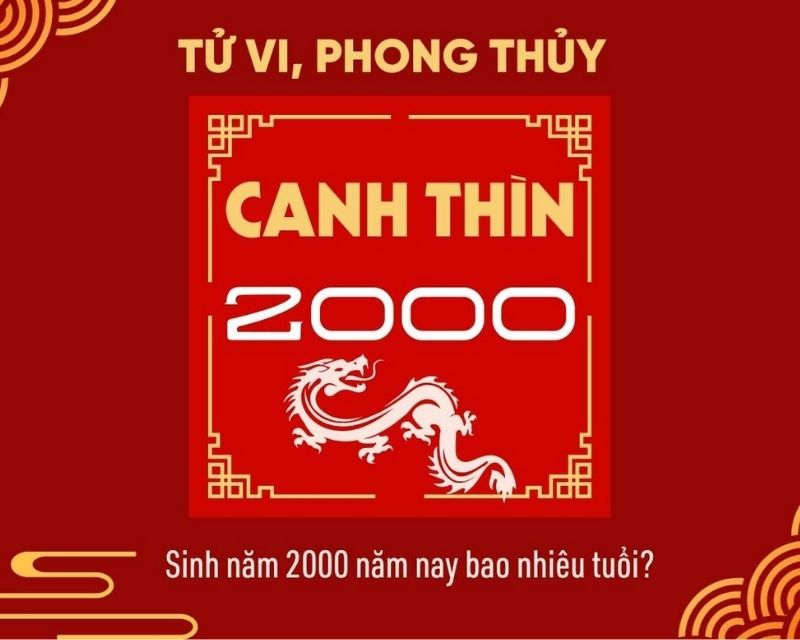 sinh-nam-2000-tuoi-gi-2