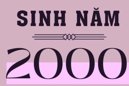 sinh-nam-2000-tuoi-gi