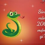 sinh-nam-2001-tuoi-gi