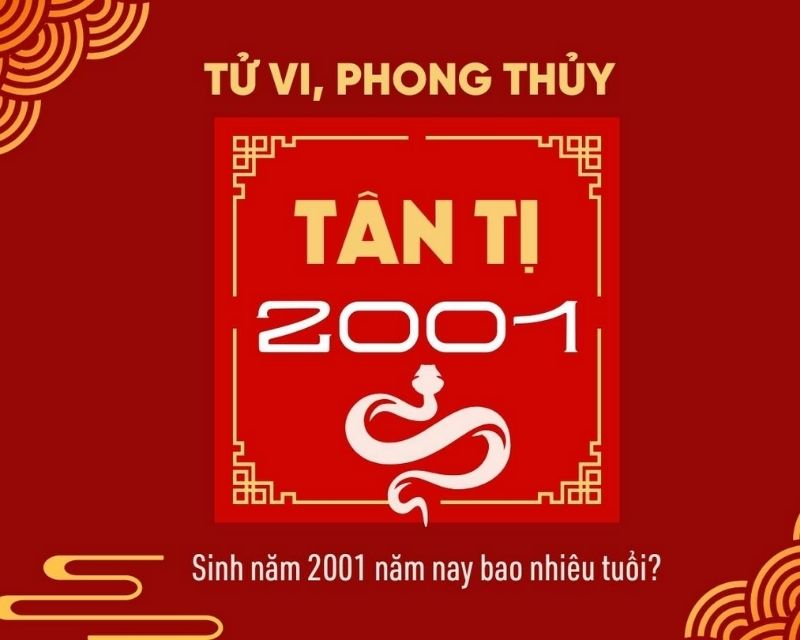 sinh-nam-2001-tuoi-gi-2