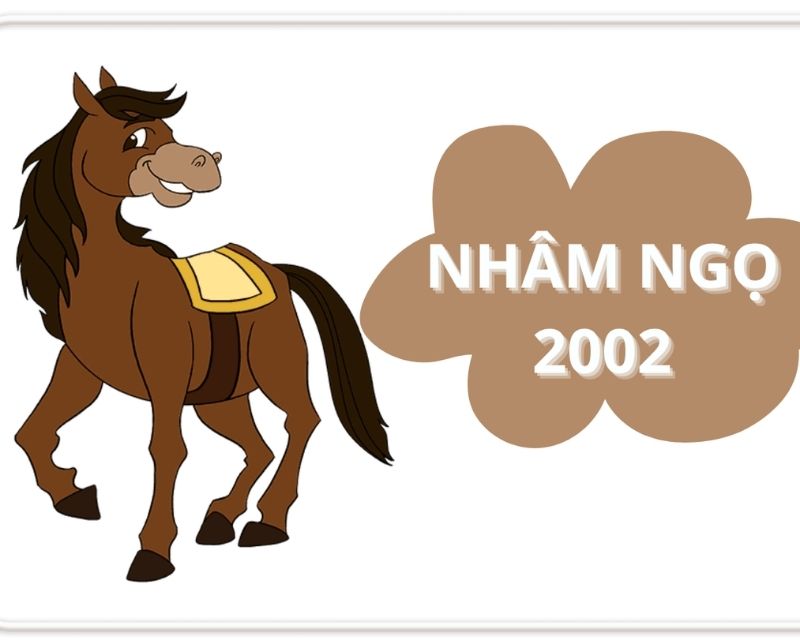 sinh-nam-2002-tuoi-gi-1