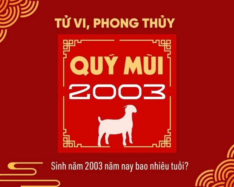 sinh-nam-2003-tuoi-gi-1