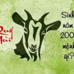 sinh-nam-2003-tuoi-gi