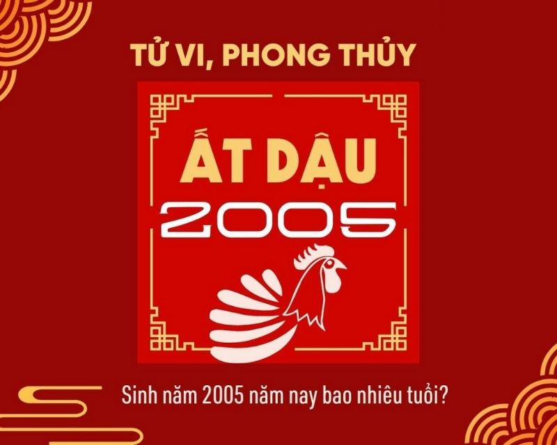 sinh-nam-2005-tuoi-gi-1