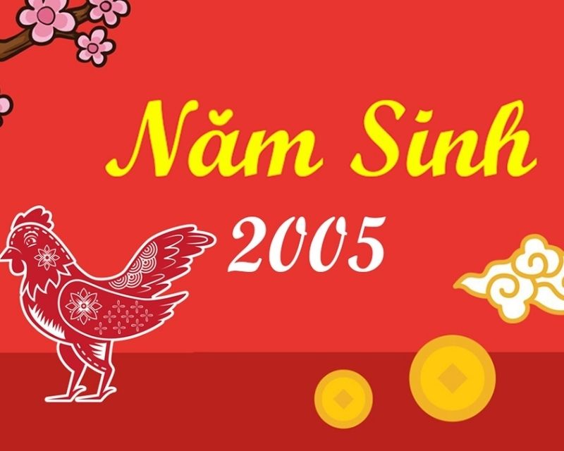 sinh-nam-2005-tuoi-gi