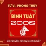 sinh-nam-2006-tuoi-gi