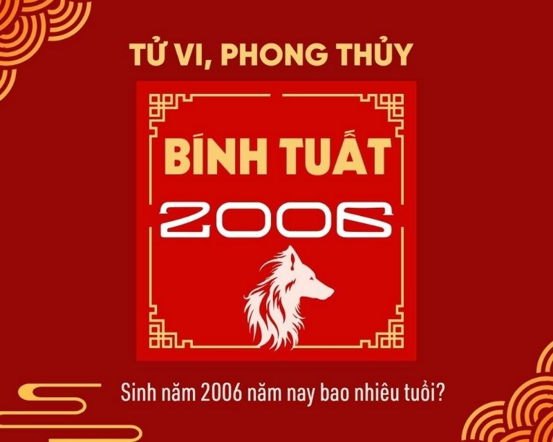 sinh-nam-2006-tuoi-gi