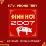 sinh-nam-2007-tuoi-gi
