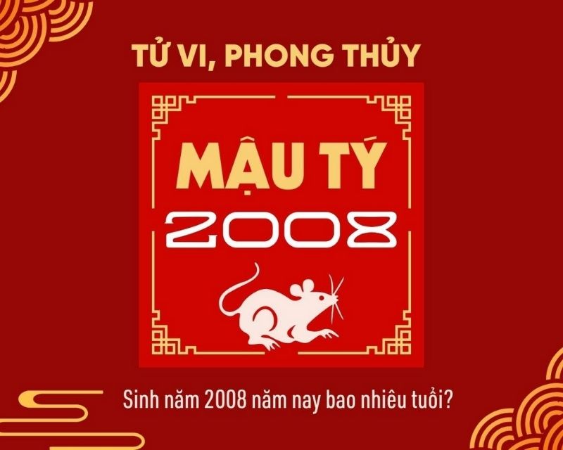 sinh-nam-2008-tuoi-gi-1