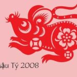 sinh-nam-2008-tuoi-gi