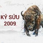 sinh-nam-2009-tuoi-gi